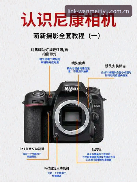 完美体育安卓下载2025：新手用户必读的全面解析与操作指南